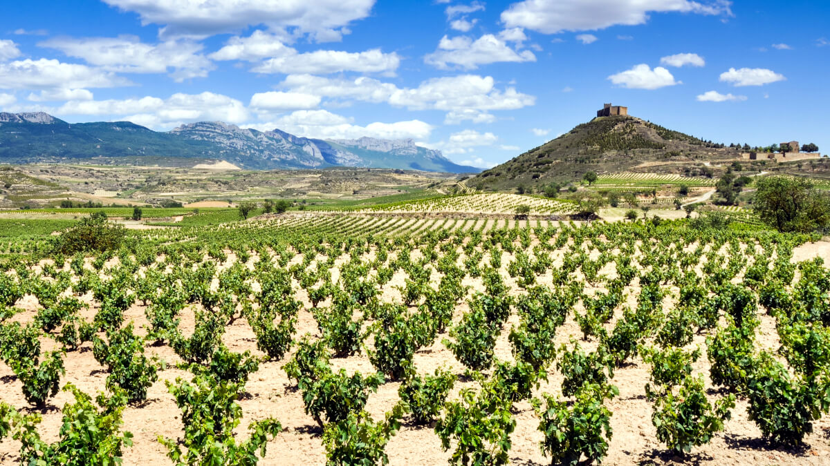 Viñedos de la Rioja - <a data-cke-saved-href="https://depositphotos.com/es/?/" href="https://depositphotos.com/es/?/">Depositphotos</a>