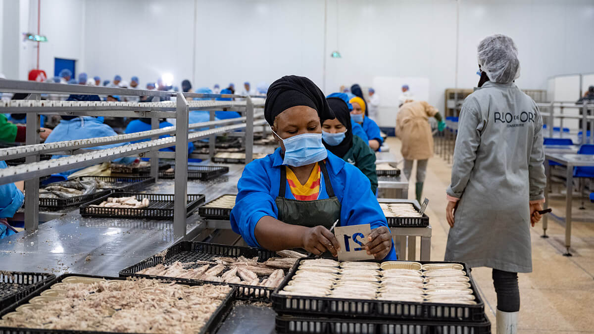 Imágenes de las trabajadoras de la conservera Río de Oro, una de las más importantes del país, en la ciudad de Dajla, Marruecos - ATALAYAR/GUILLERMO LÓPEZ