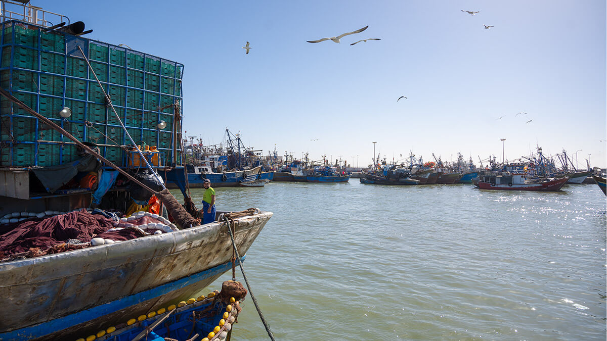 Pescador en las instalaciones del puerto pesquero de Dajla, Marruecos - ATALAYAR/ GUILLERMO LÓPEZ