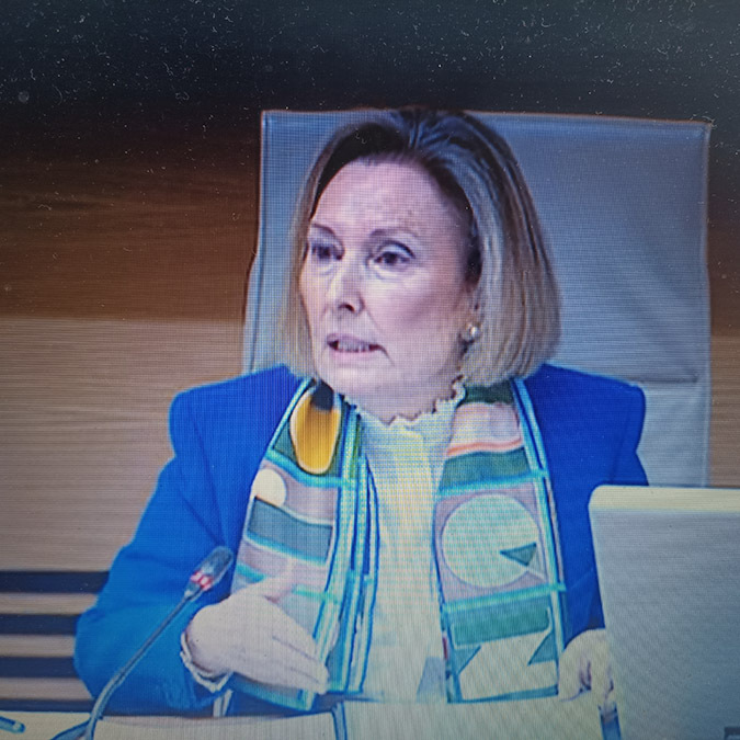 Dos portavoces han manifestado a Amparo Valcarce que no ha contestado absolutamente a nada de las preguntas concretas que se le han formulado - PHOTO/JPons