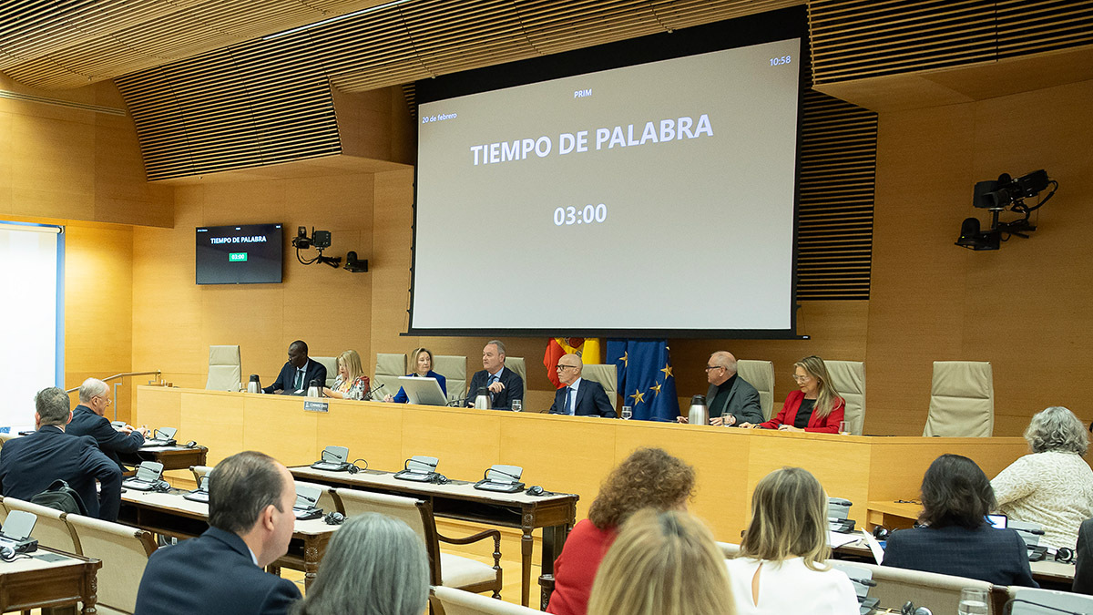 Vista de la sala en la que compareció la secretaria de Estado de Defensa ante la Comisión de Defensa del Congreso. Los diputados tenían 10 minutos para hacer sus primeras intervenciones y 3 minutos para la segunda - PHOTO/Congreso Diputados