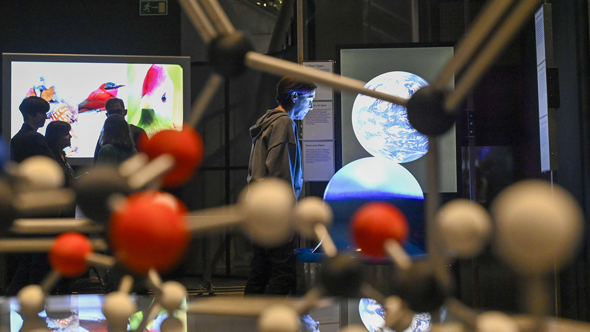 <p>Imagen del primero de los ámbitos de la exposición en CosmoCaixa - PHOTO/ Fundación "la Caixa"</p>
