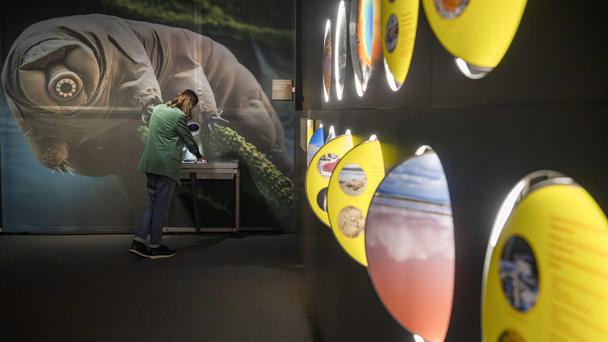 <p>Una visitante observa la muestra de artemia salina mientras otros conocen paisajes extremos de la Tierra - PHOTO/ Fundación "la Caixa"</p>
