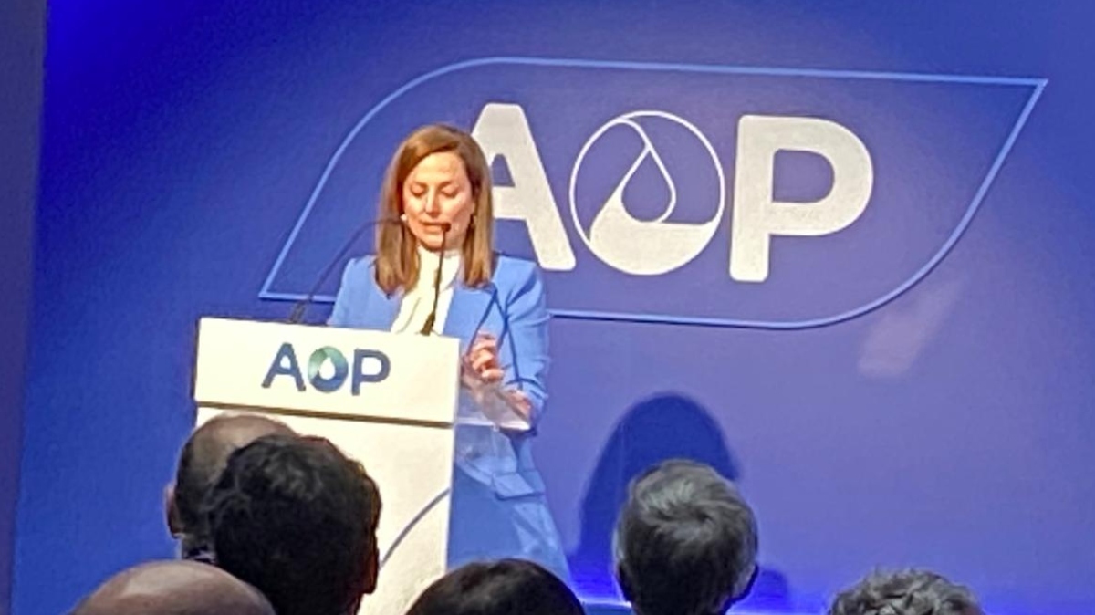 Elena Mateos, directora general de AOP - ATALAYAR