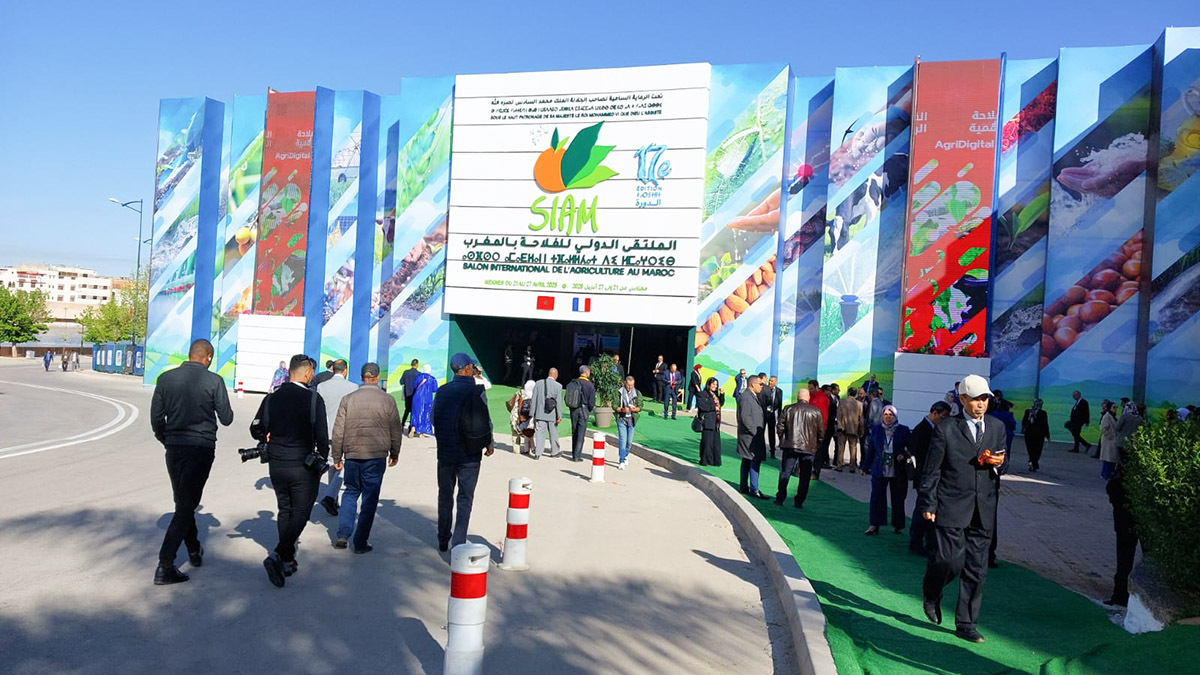 Entrada al Salón Internacional de Agricultura de Marruecos 2025, en Meknes – PHOTO/FILE