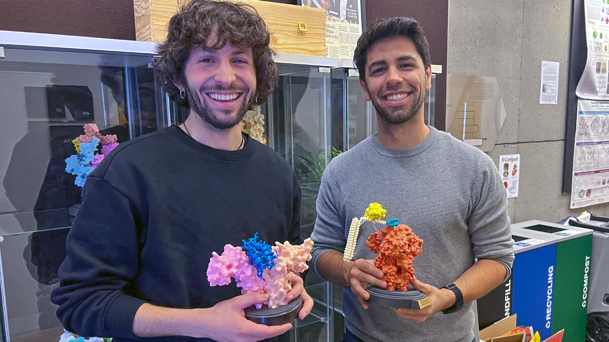 <br />
Una tradición del Baker Lab consiste en regalar a los investigadores el diseño de sus proteínas imprimido en 3D cuando publican los artículos de sus investigaciones en publicaciones científicas. En la foto Marc Expòsit y Alfredo Quijano con sus proteínas - PHOTO/FUNDACIÓN LA CAIXA