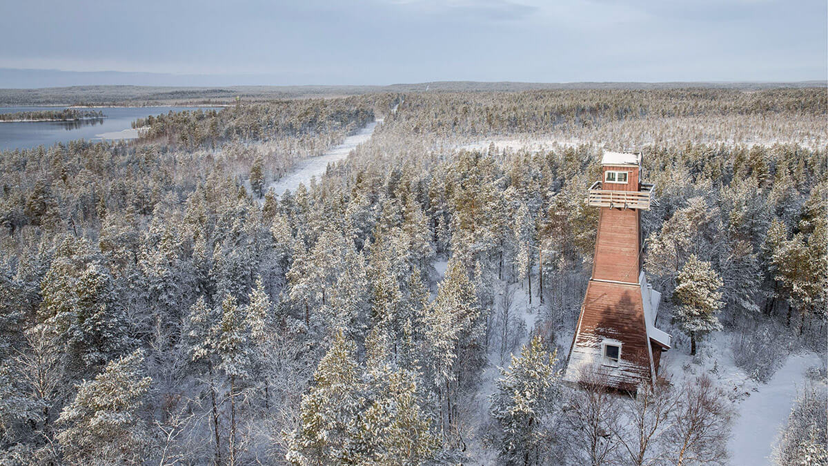 <p>Una torre de observación domina la frontera entre Noruega y Rusia desde el lado escandinavo en el valle de Pasvik - REUTERS/MAXIM SHEMETOV </p>