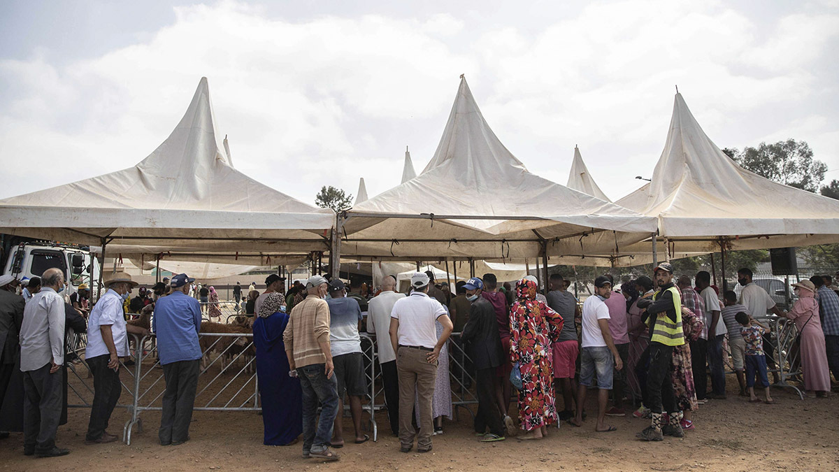 Fotografia de archivo, la gente se reúne para comprar ovejas para la próxima festividad islámica de Eid al-Adha en un mercado en las afueras de Rabat, Marruecos - AP/MOSAAB ELSHAMY