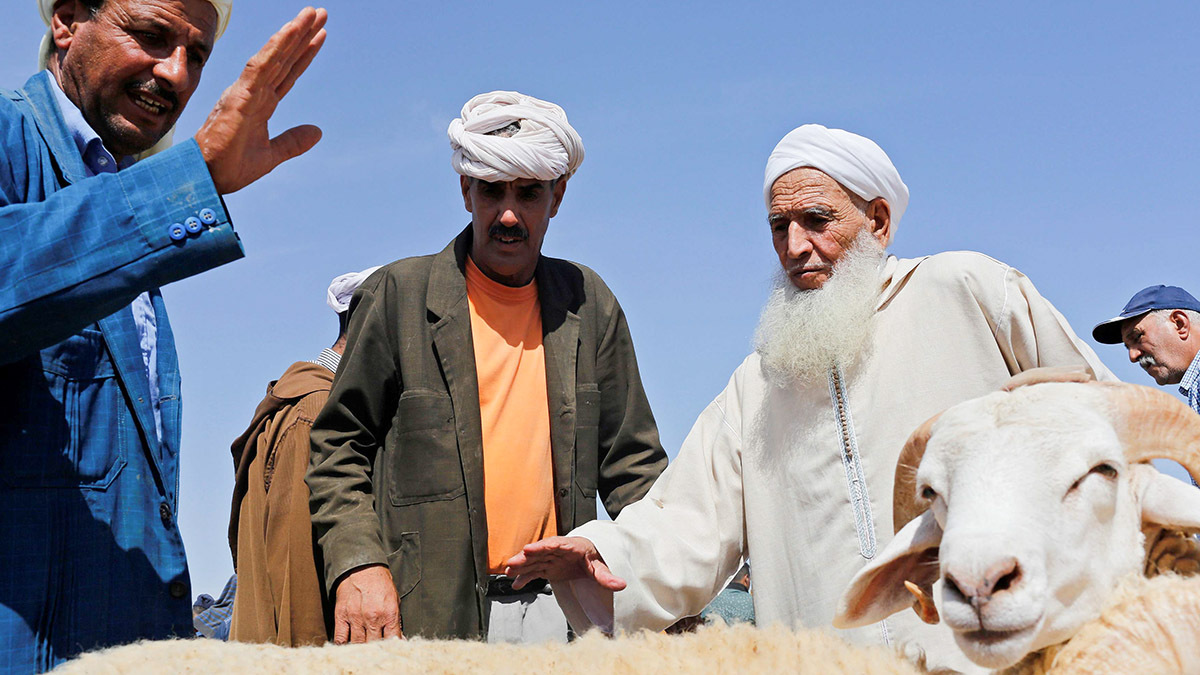 El Eid-al-Adha, o Fiesta del Sacrificio, conmemora lo que los musulmanes creen que fue la disposición del profeta Abraham a sacrificar a su hijo - AP/ ABDEIJAIL BOUNHAR
