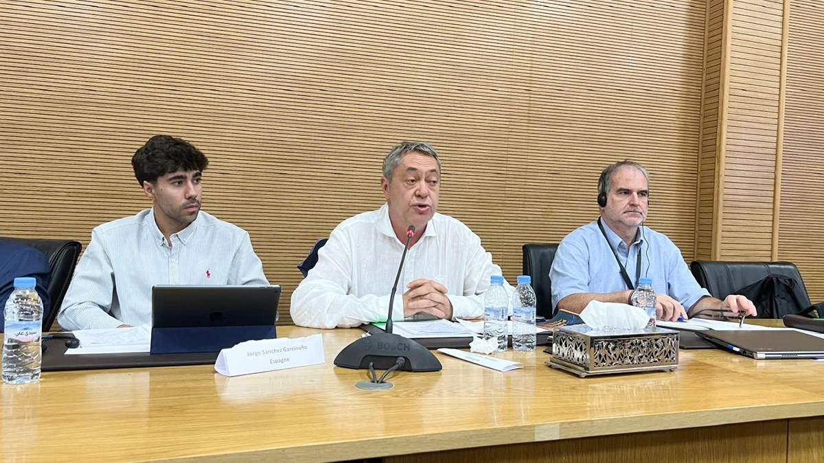 <em>“La complementariedad entre el Periodismo de Calidad y la Educación Mediática”,</em>