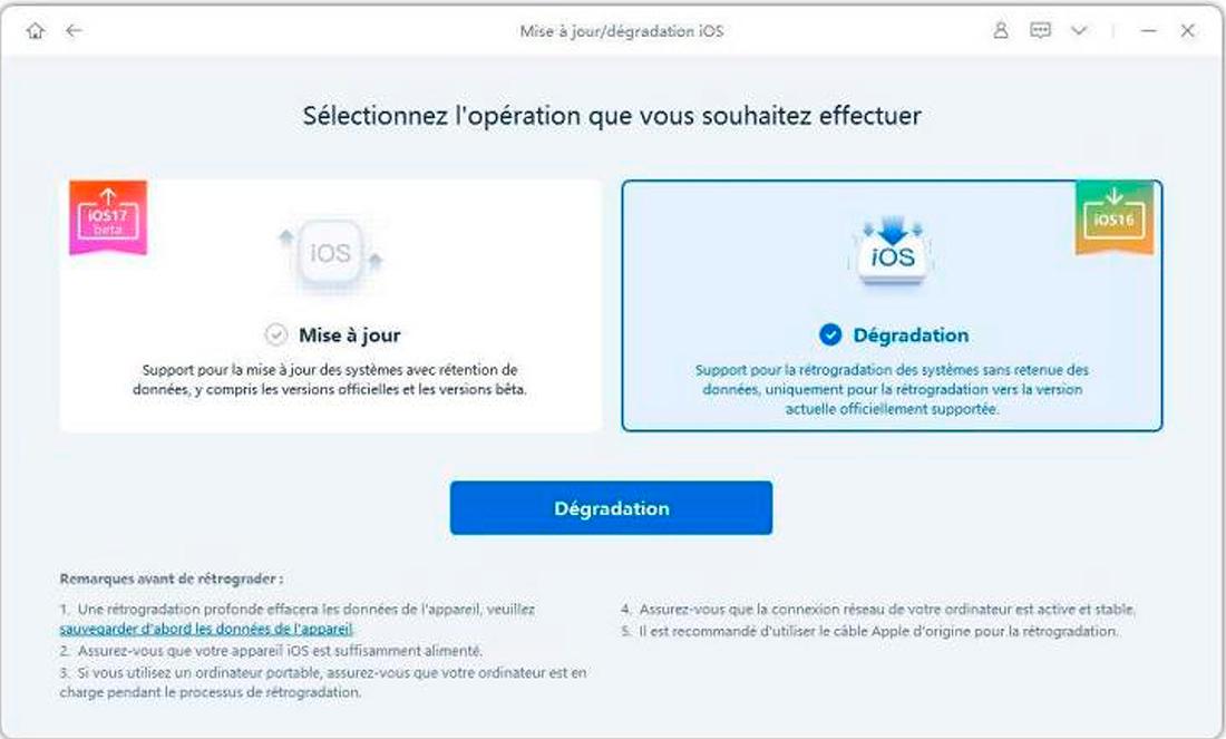 WhatsApp Image 2025-07-14 at 13.04.46