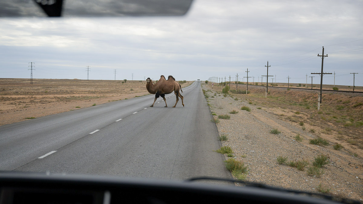 Por las estepas del cosmódromo pude ver camellos en libertad y plataformas de despegue fuera de servicio con sus instalaciones anexas abandonadas. Muchas de ellas han sido desmontadas o rehabilitadas - PHOTO/NASA-Bill Ingalls