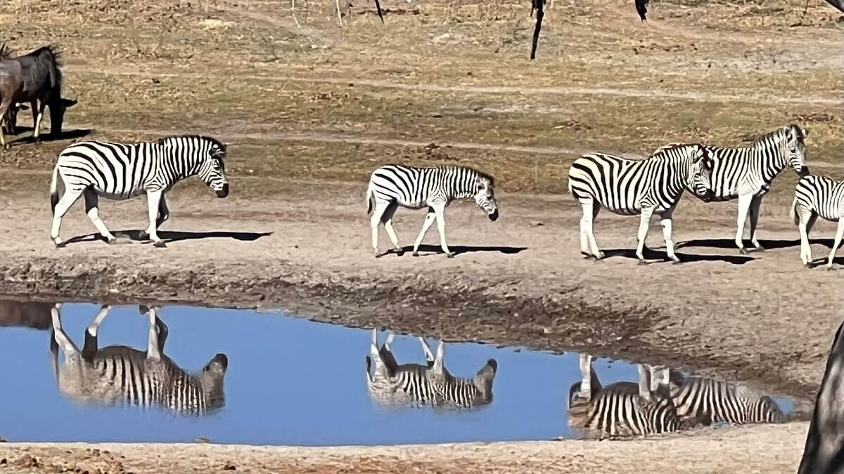 África