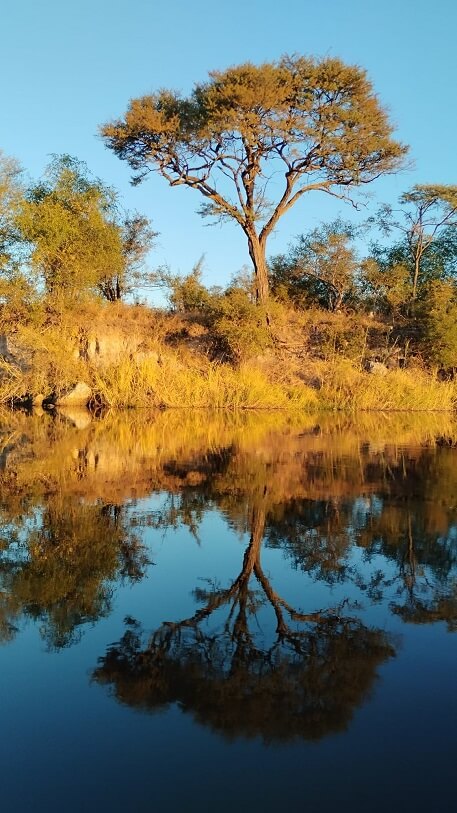 África