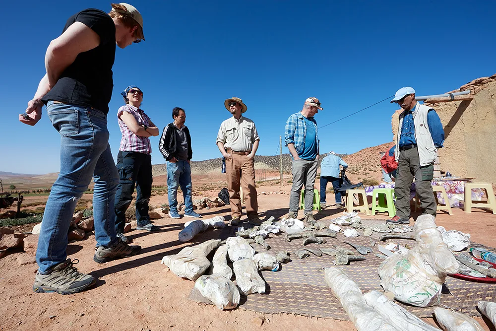 Científicos e investigadores durante la excavación de los restos del Spicomellus Afer - PHOTO/MUSEO NACIONAL DE HISTORIA DE LONDRES