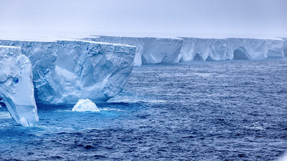 <p>El iceberg más grande del mundo, llamado A23a, se observa en la Antártida el 14 de enero de 2024, en esta imagen obtenida de redes sociales - Rob Suisted - http://naturespic.com/vía REUTERS </p>
