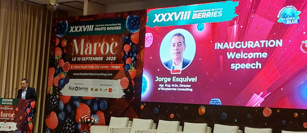 Jorge Esquivel Director de Blueberries Consulting