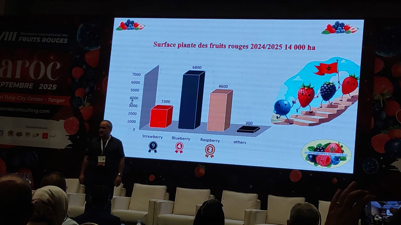 Amine Bennani presidente de la Asociación de Productores Marroquíes de Frutos Rojos