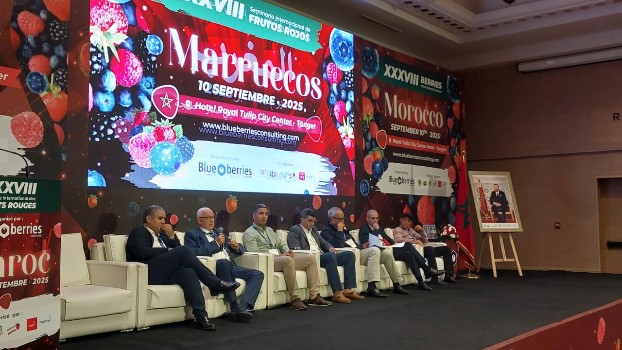 XXXVIII Seminario Internacional Arándanos Marruecos 2025