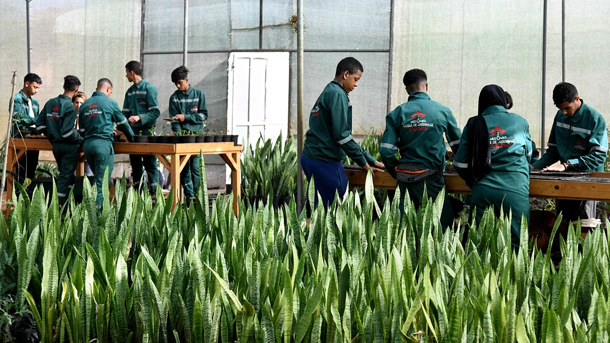 <p>Jóvenes asisten a un curso práctico en Bouregreg Med-O-Med, la primera escuela de jardinería de Marruecos, en la ciudad costera de Salé - PHOTO/ ARCHIVO</p>
