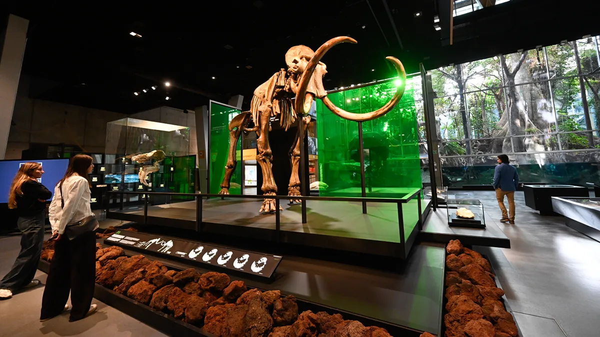 El responsable de exposiciones de ciencia de la Fundación "la Caixa", Javier Hidalgo, y el director del Museo de la Ciencia CosmoCaixa, Valentí Farràs - © Fundación "la Caixa" 