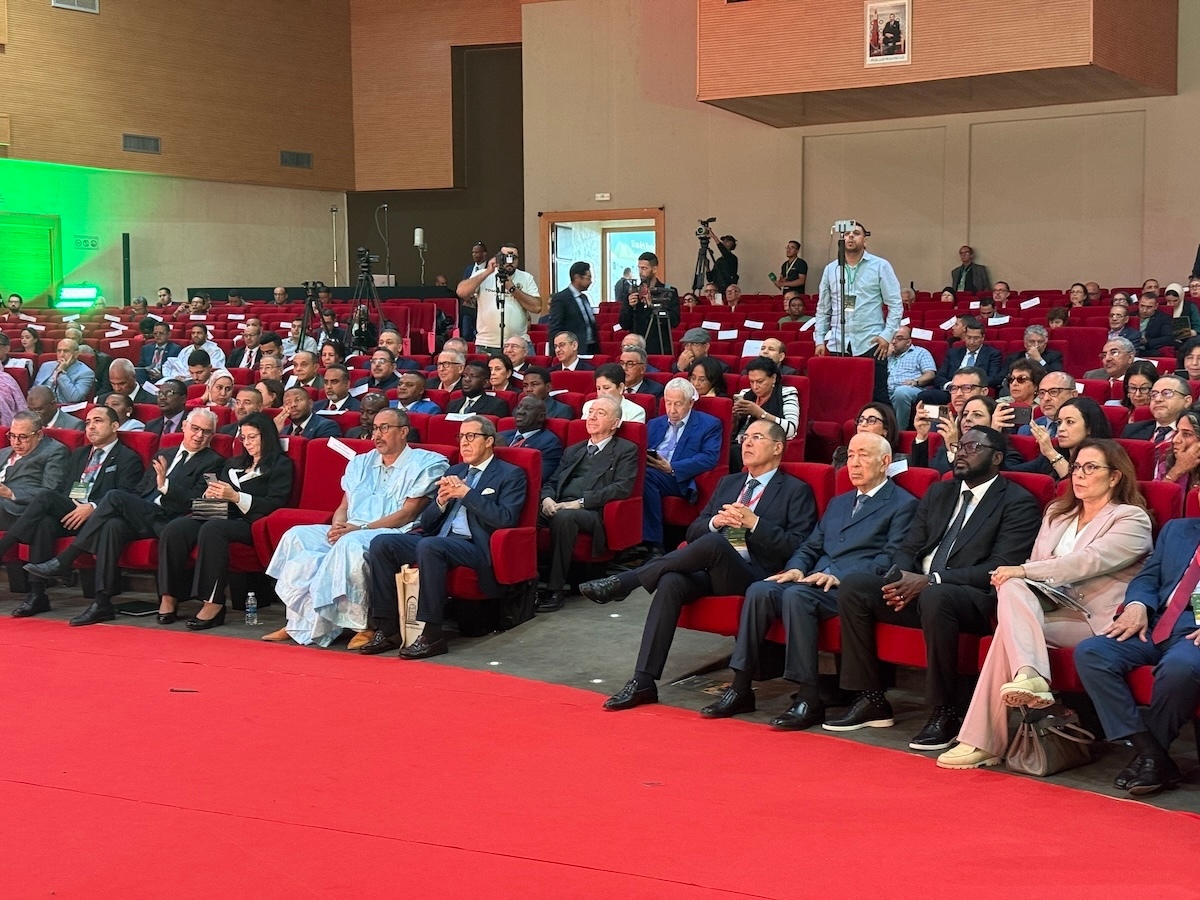 asistentes MD Sahara