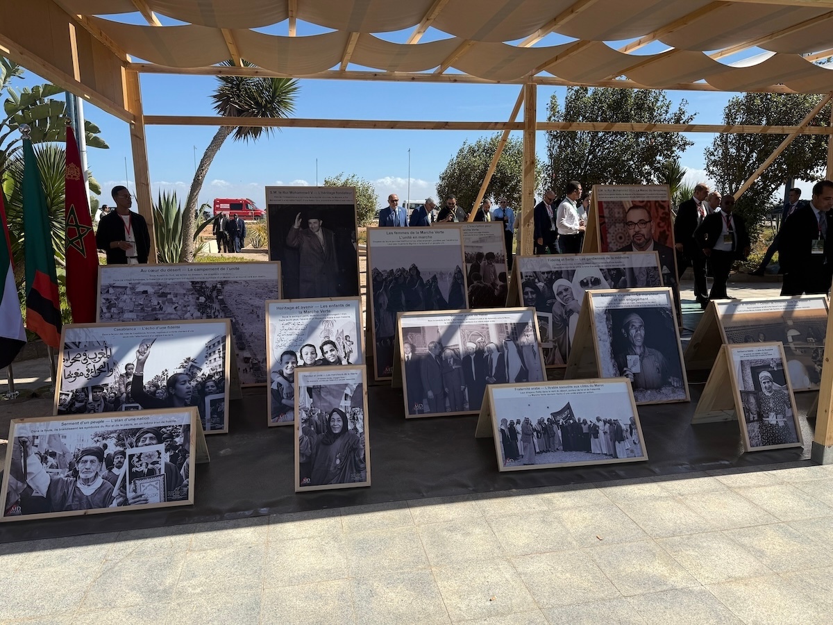 exposicion marcha verde