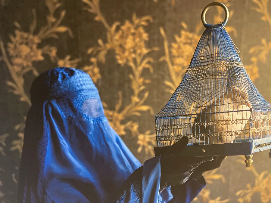 Enjaulado en Afganistán, de Mauro De Bettio (Italia) 