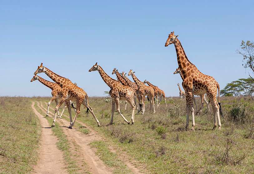 Tanzania