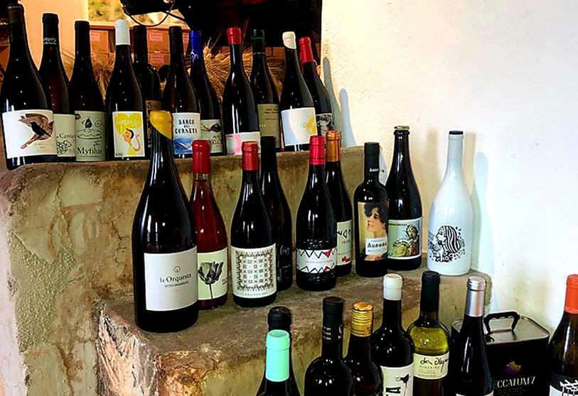 Vinos