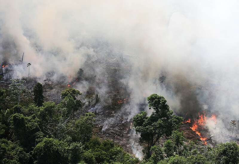 Una vista aérea de una zona de la selva amazónica en llamas