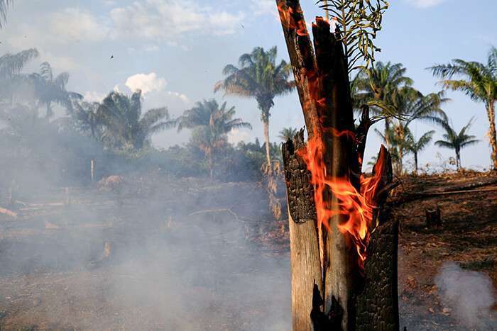 n Iranduba, estado de Amazonas, Brasil, el 20 de agosto de 2019, se observa la quema de una zona de la selva amazónica mientras los madereros y agricultores la talan.