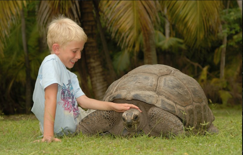 Playas vírgenes y naturaleza intacta dispuestas a abrazarte, en Seychelles 