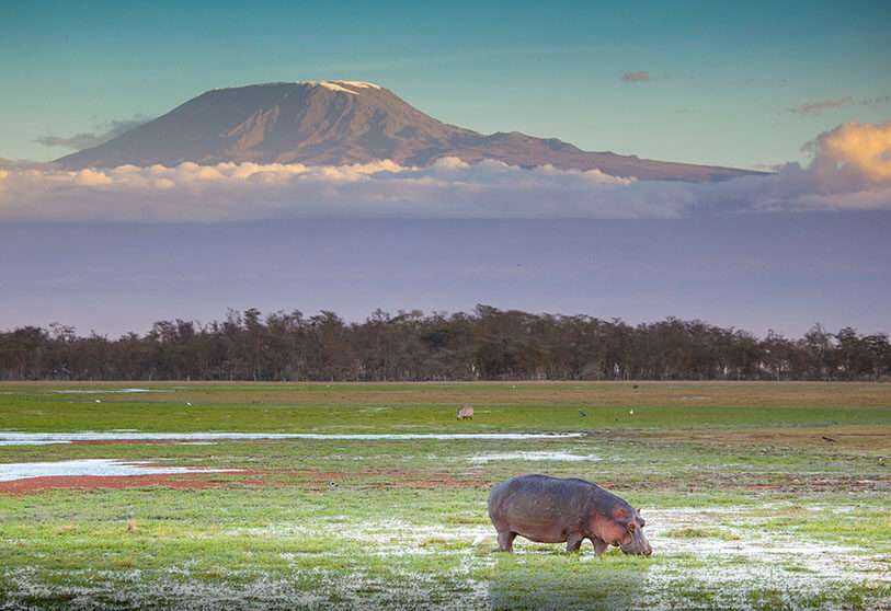 Tanzania