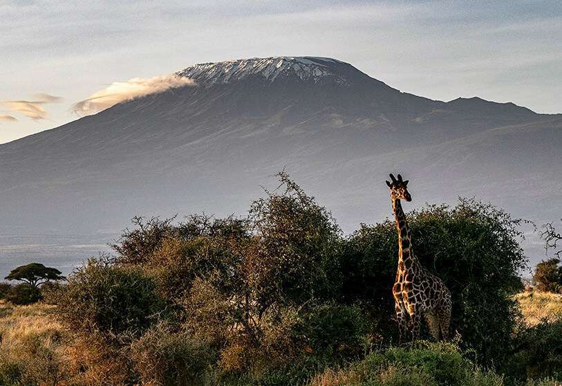 África