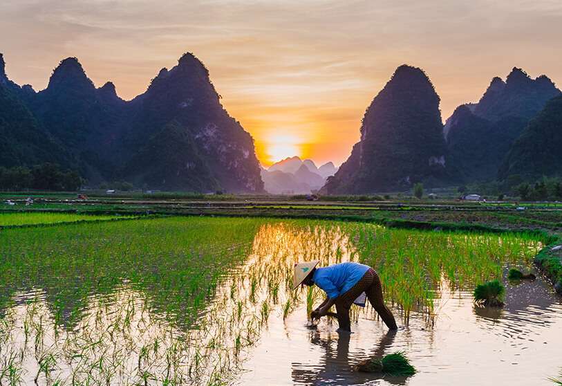 Bahía Halong