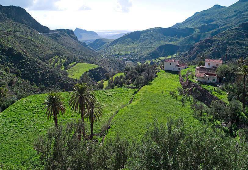 Gran Canaria