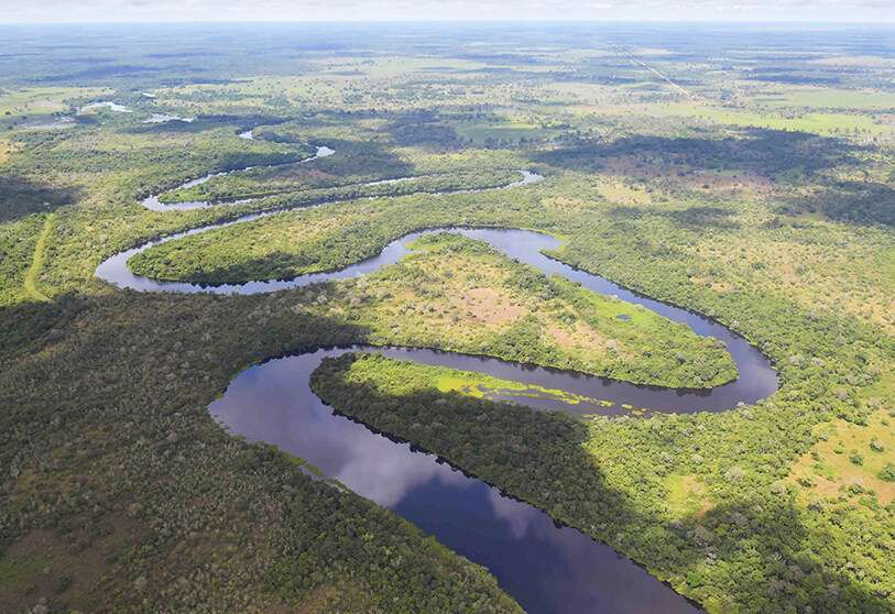 El Pantanal es el humedal más grande del planeta, ubicado en Brasil, Bolivia y Paraguay. Este ecosistema corre el riesgo de colapsar si las cabeceras de los ríos no están protegidas del avance de los monocultivos