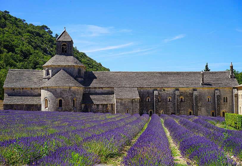 Vaucluse