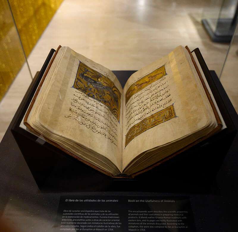 Libro