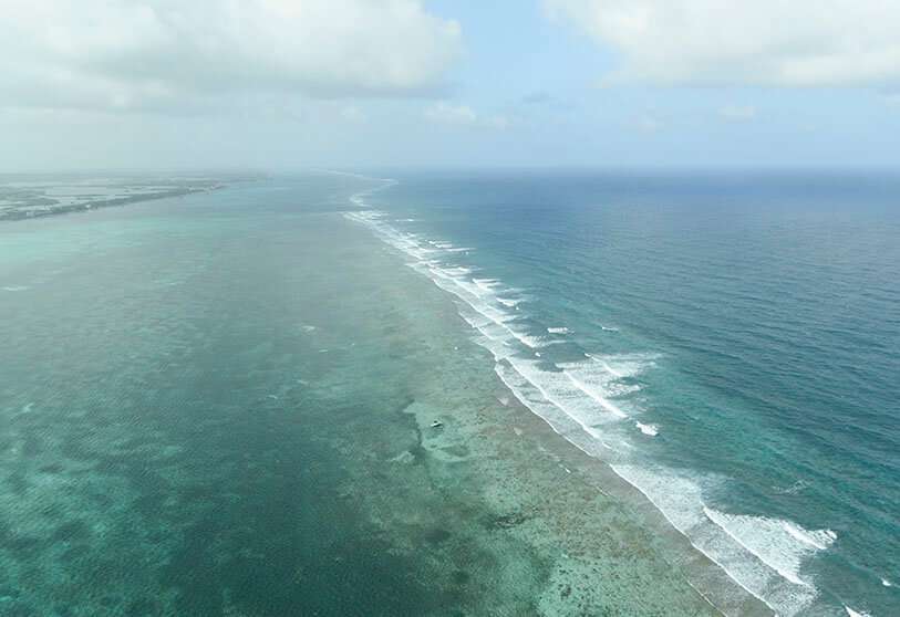 Belice