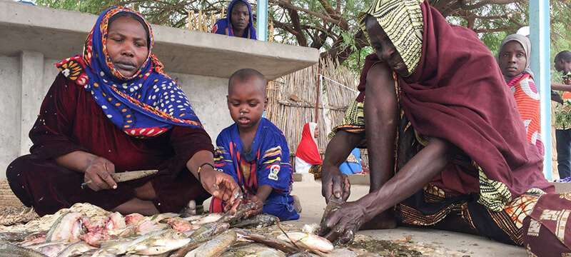 UN News/Dan Dickinson Mujeres se sostienen económicamente de la captura, preparación, y venta de pescado en la región de la Cuenca del Lago Chad