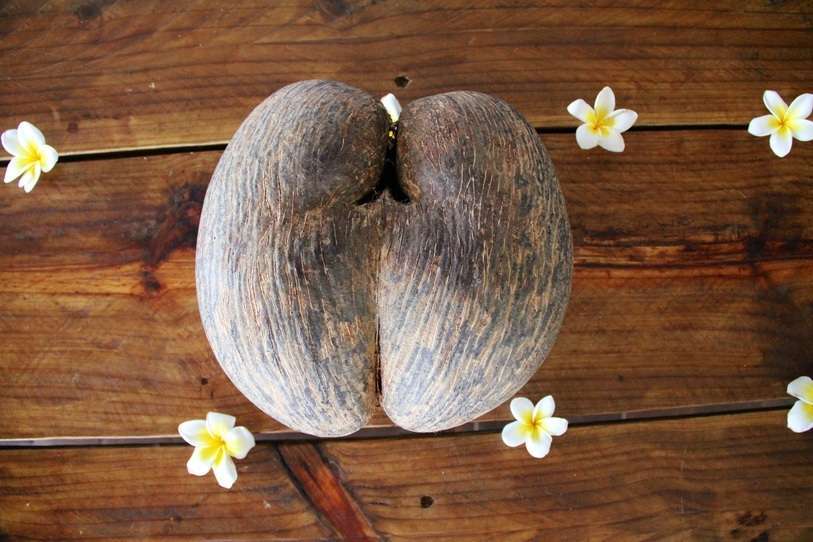Playas vírgenes y naturaleza intacta dispuestas a abrazarte, en Seychelles 